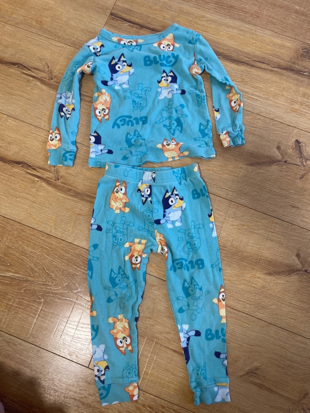 3T Bluey Blue Kids' Pajama Set with Cartoon Character Print